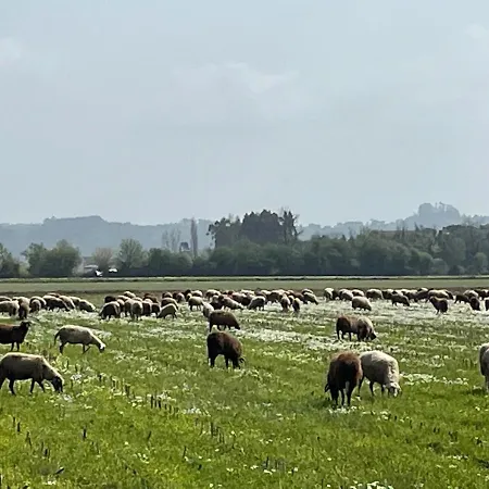 Nyaraló La Casa Gastounette
