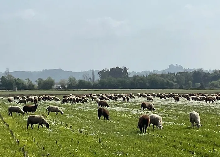 Feriehus La Casa Gastounette